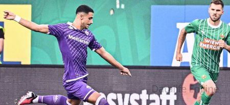 Fiorentina gegen Rapid